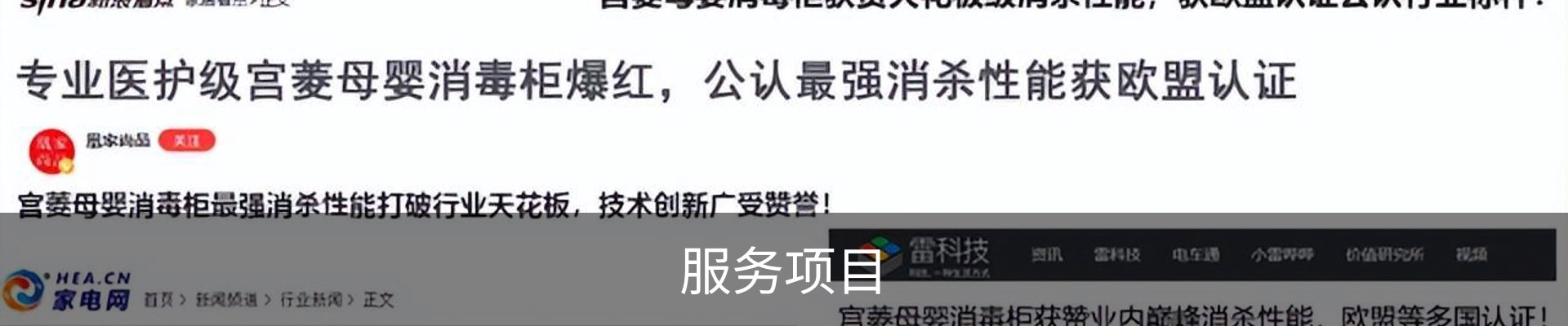 服务项目